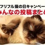 猫の日キャンペーン！みんなの投稿まとめ