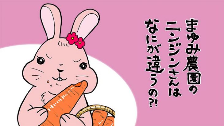 【マンガでわかる】熊本県まゆみ農園のニンジンの秘密に迫る！