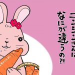 【マンガでわかる】熊本県まゆみ農園のニンジンの秘密に迫る！