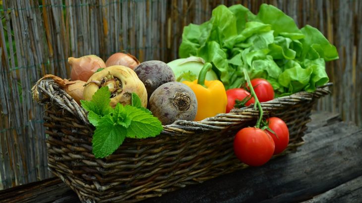 今さら聞けない野菜の基本をおさらい！野菜の種類どれだけ知ってる？