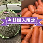 【特別有料販売！】肥後グリーン（メロン）＆ まゆみ農園の規格外 にんじんをお得に購入キャンペーン！