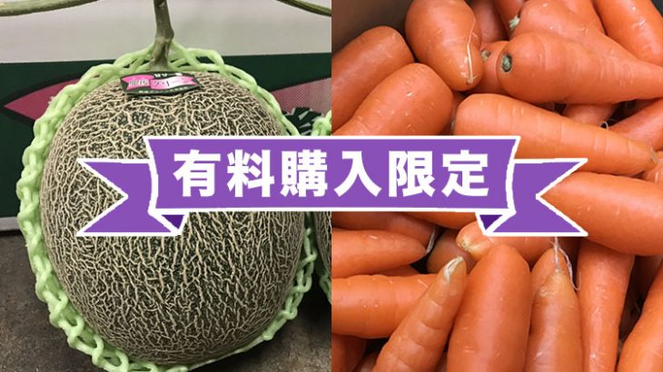 【特別有料販売！】肥後グリーン（メロン）＆ まゆみ農園の規格外 にんじんをお得に購入キャンペーン！